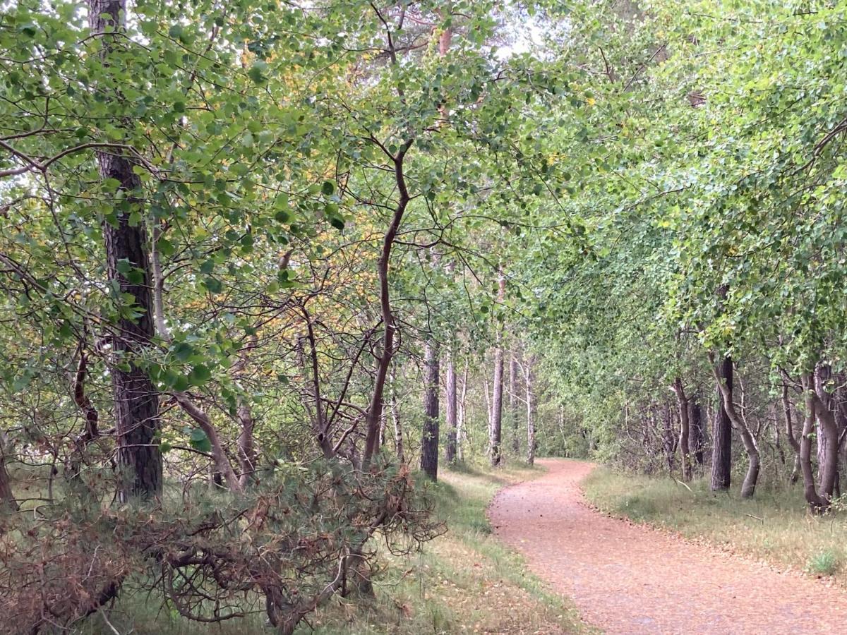 Stallet Pa Skarby Ystad Esterno foto