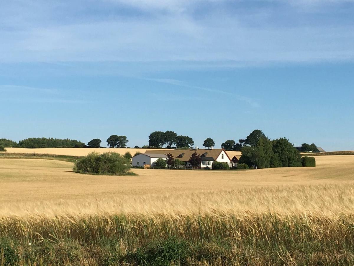 Stallet Pa Skarby Ystad Esterno foto