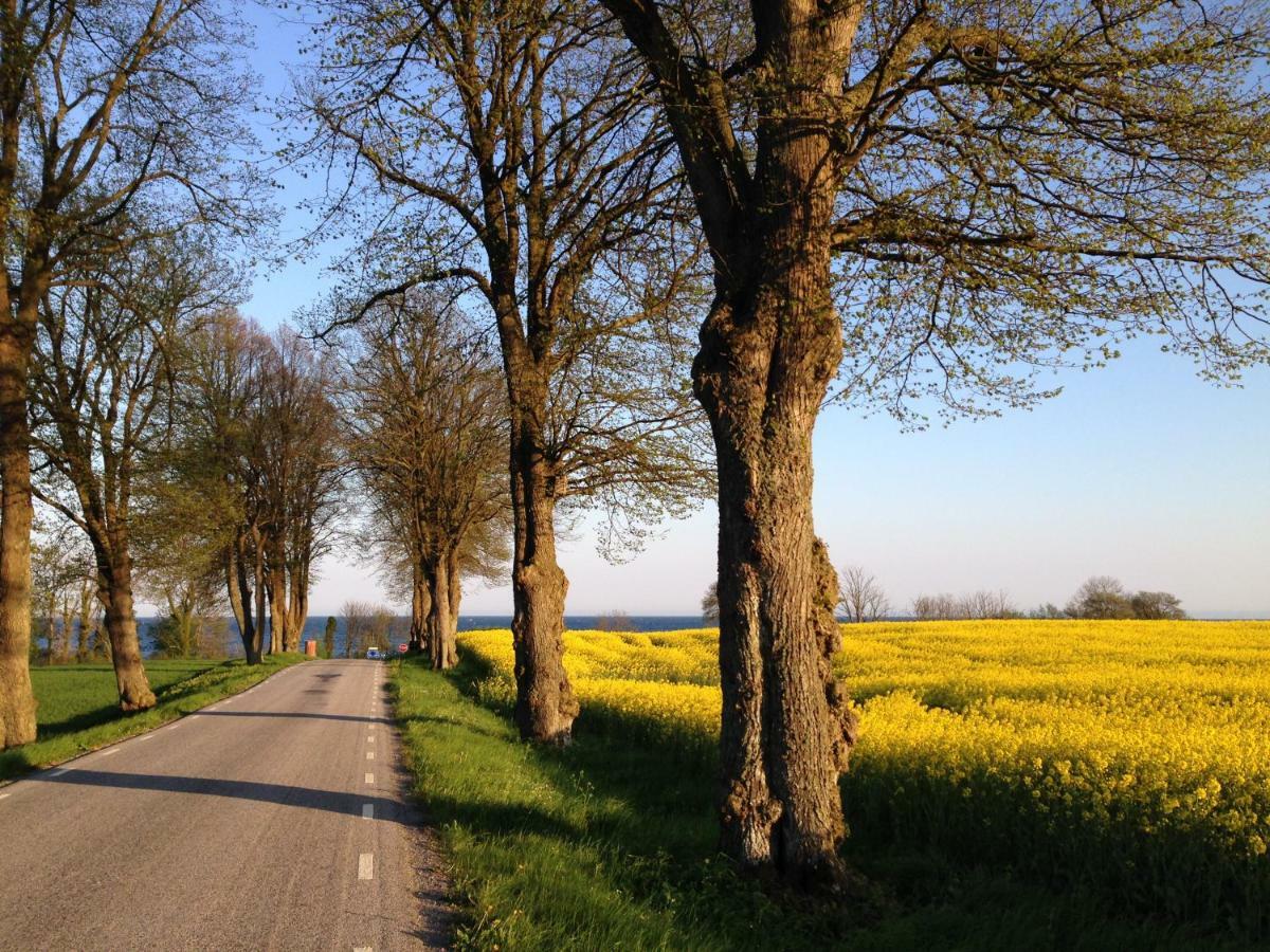 Stallet Pa Skarby Ystad Esterno foto